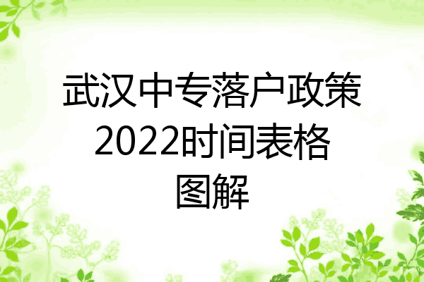 武汉中专落户政策2022时间表格图解