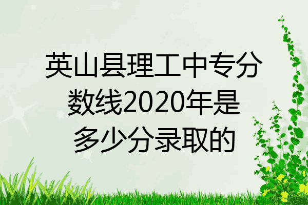 英山县理工中专分数线2020年是多少分录取的