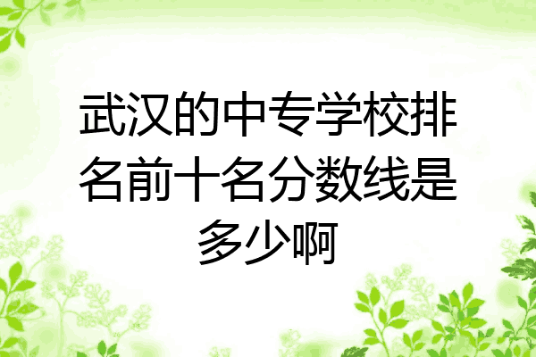武汉的中专学校排名前十名分数线是多少啊