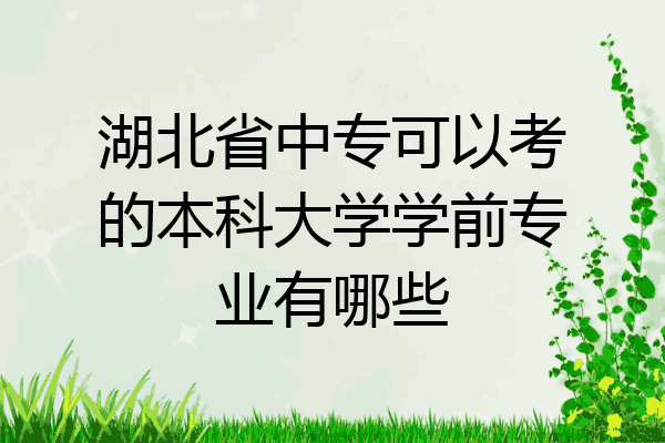 湖北省中专可以考的本科大学学前专业有哪些