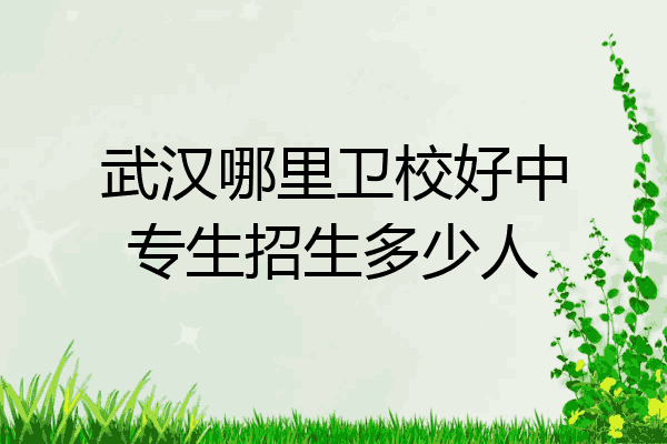 武汉哪里卫校好中专生招生多少人