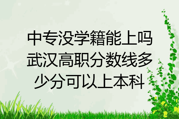 中专没学籍能上吗武汉高职分数线多少分可以上本科