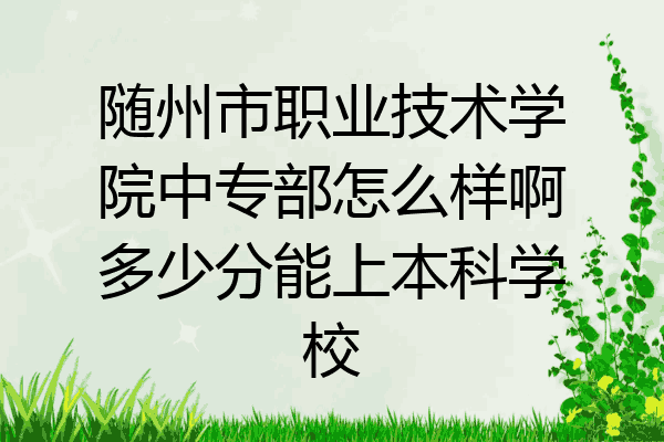 随州市职业技术学院中专部怎么样啊多少分能上本科学校