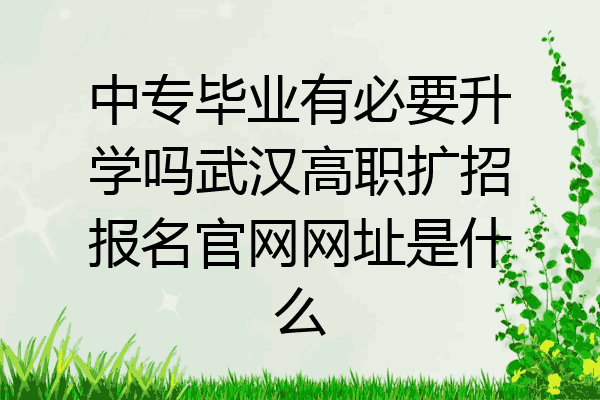 中专毕业有必要升学吗武汉高职扩招报名官网网址是什么