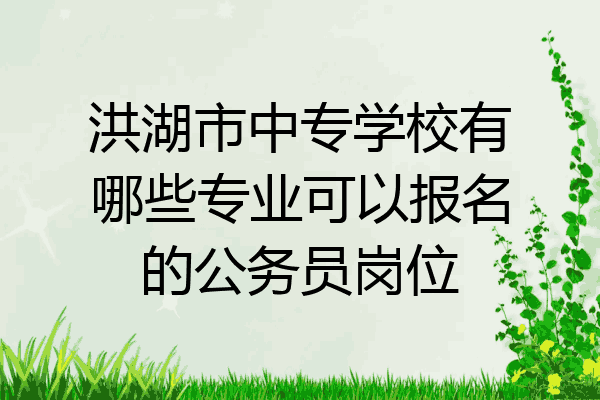 洪湖市中专学校有哪些专业可以报名的公务员岗位