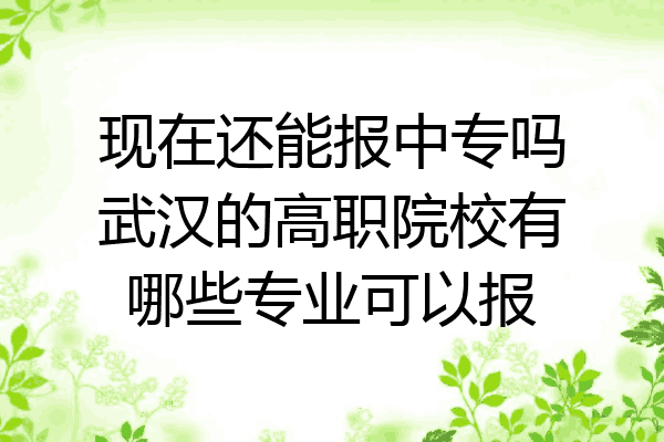 现在还能报中专吗武汉的高职院校有哪些专业可以报