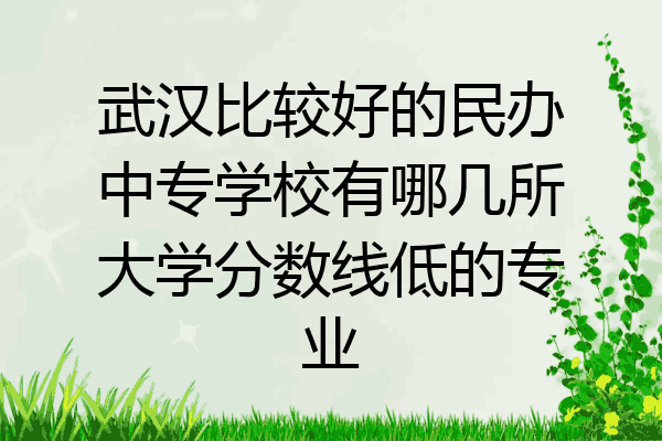 武汉比较好的民办中专学校有哪几所大学分数线低的专业