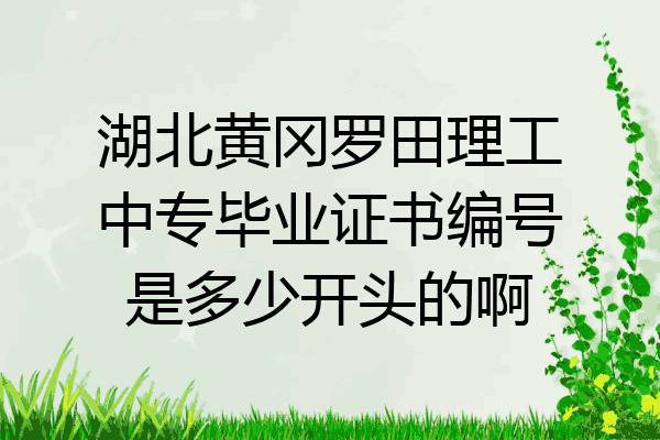湖北黄冈罗田理工中专毕业证书编号是多少开头的啊