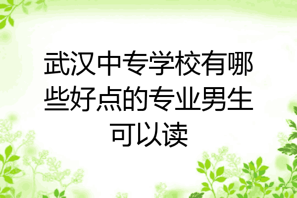 武汉中专学校有哪些好点的专业男生可以读