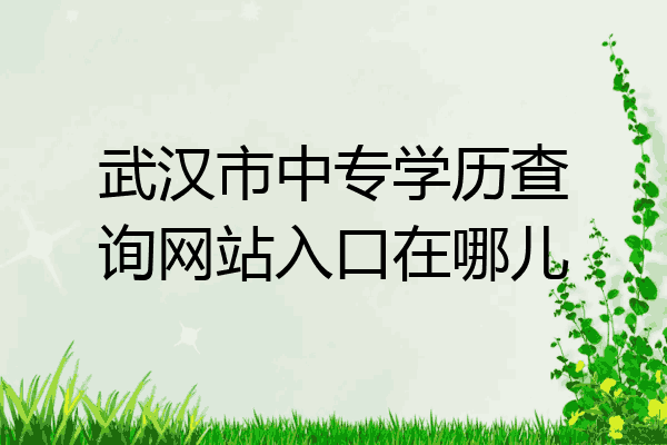 武汉市中专学历查询网站入口在哪儿