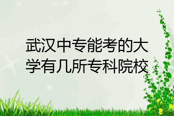 武汉中专能考的大学有几所专科院校