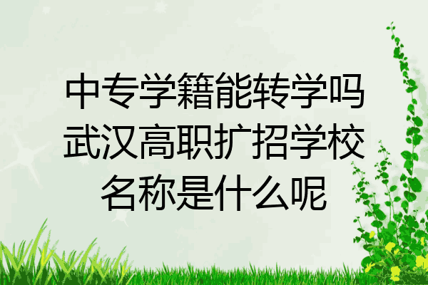 中专学籍能转学吗武汉高职扩招学校名称是什么呢