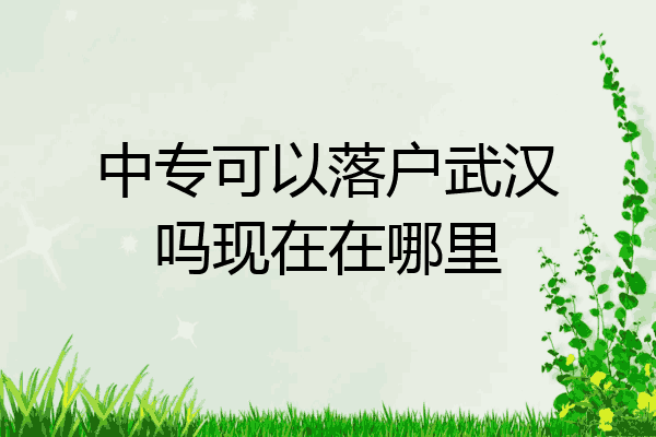 中专可以落户武汉吗现在在哪里