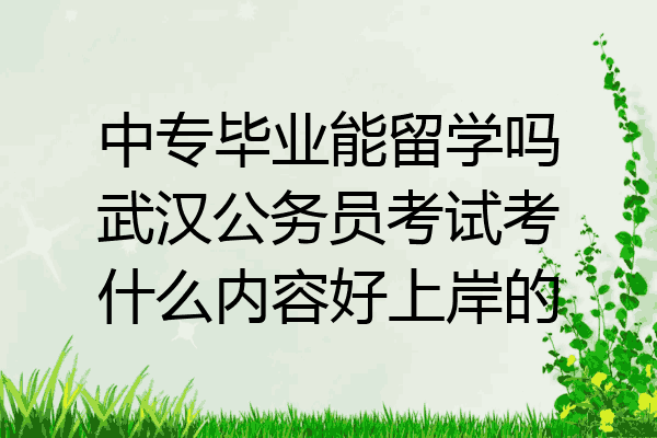 中专毕业能留学吗武汉公务员考试考什么内容好上岸的