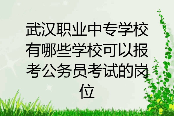 武汉职业中专学校有哪些学校可以报考公务员考试的岗位