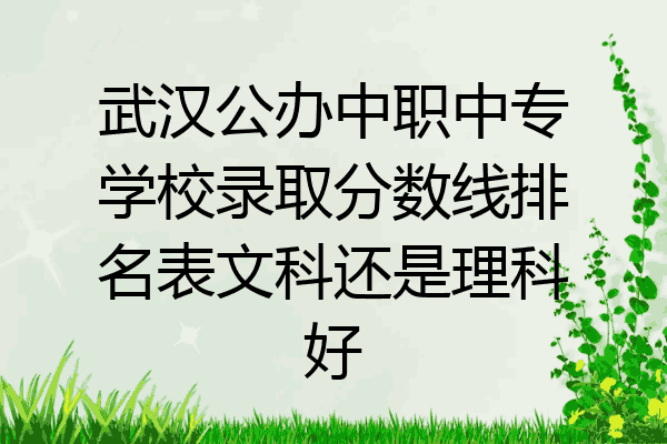 武汉公办中职中专学校录取分数线排名表文科还是理科好