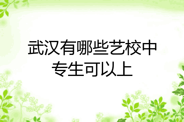 武汉有哪些艺校中专生可以上