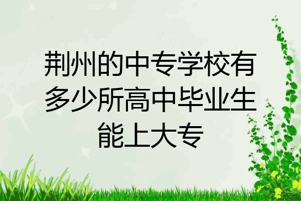 荆州的中专学校有多少所高中毕业生能上大专