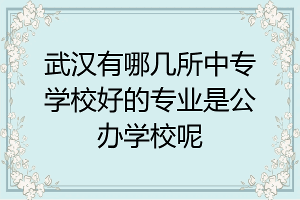 武汉有哪几所中专学校好的专业是公办学校呢