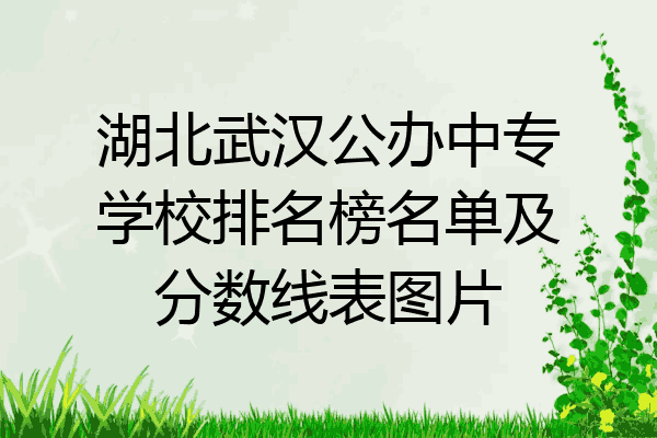 湖北武汉公办中专学校排名榜名单及分数线表图片