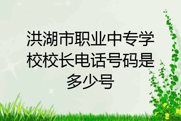 洪湖市职业中专学校校长电话号码是多少号