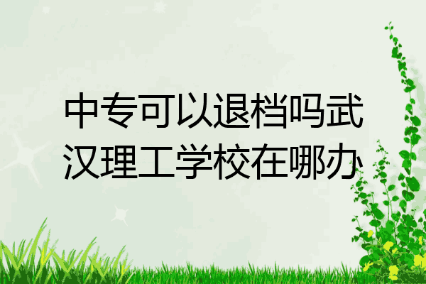 中专可以退档吗武汉理工学校在哪办