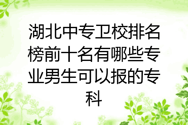 湖北中专卫校排名榜前十名有哪些专业男生可以报的专科
