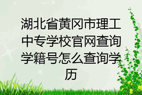 湖北省黄冈市理工中专学校官网查询学籍号怎么查询学历