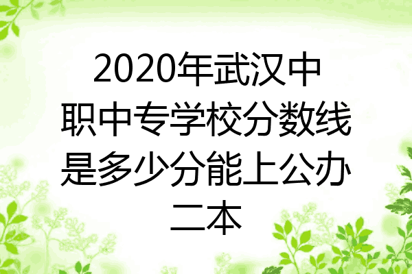 2020年武汉中职中专学校分数线是多少分能上公办二本