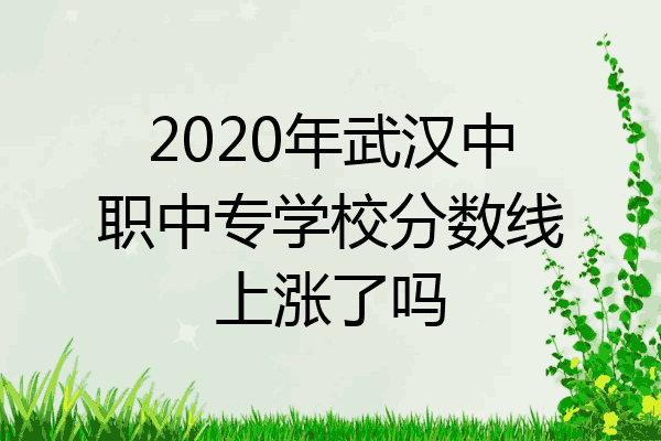 2020年武汉中职中专学校分数线上涨了吗