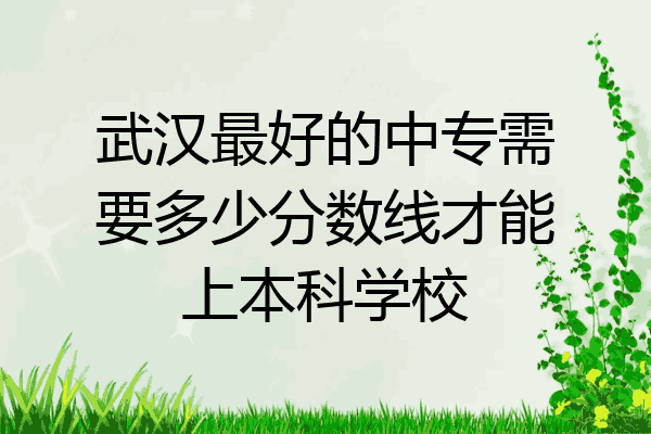 武汉最好的中专需要多少分数线才能上本科学校