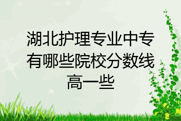 湖北护理专业中专有哪些院校分数线高一些
