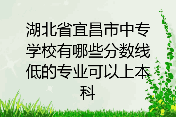 湖北省宜昌市中专学校有哪些分数线低的专业可以上本科