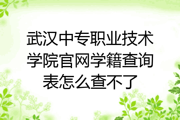 武汉中专职业技术学院官网学籍查询表怎么查不了
