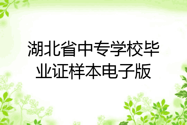 湖北省中专学校毕业证样本电子版