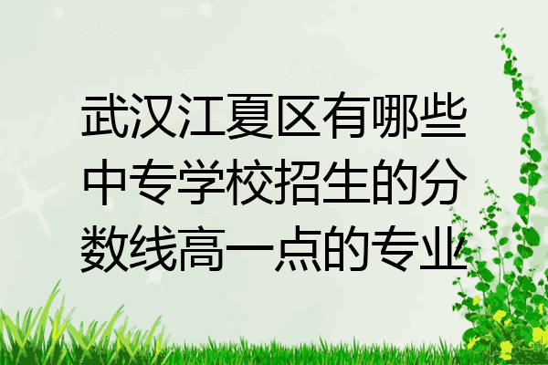 武汉江夏区有哪些中专学校招生的分数线高一点的专业