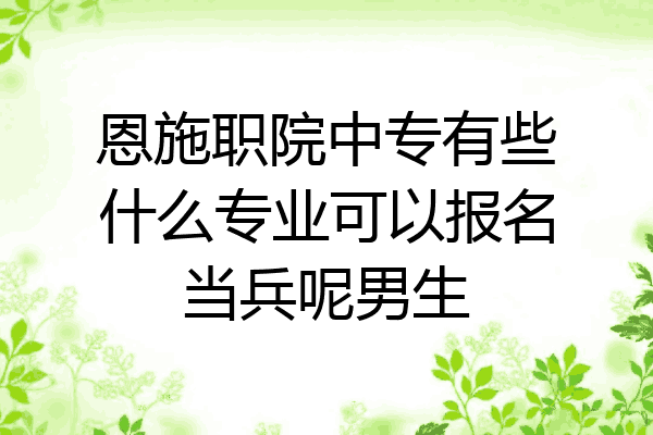 恩施职院中专有些什么专业可以报名当兵呢男生