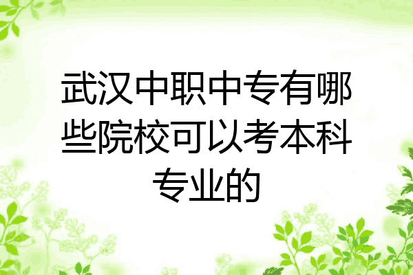 武汉中职中专有哪些院校可以考本科专业的