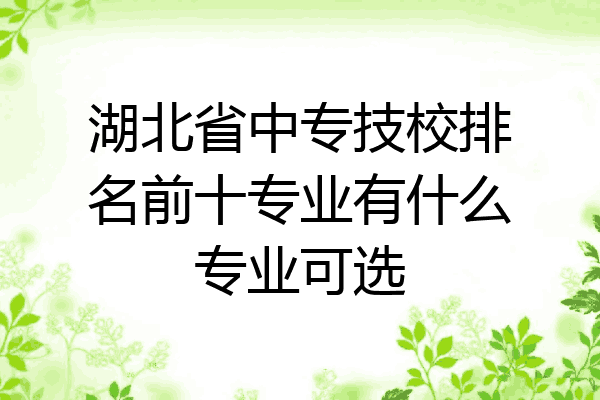 湖北省中专技校排名前十专业有什么专业可选