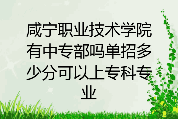 咸宁职业技术学院有中专部吗单招多少分可以上专科专业