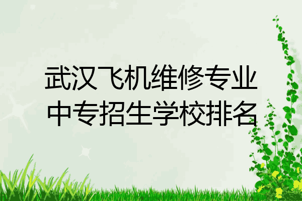 武汉飞机维修专业中专招生学校排名