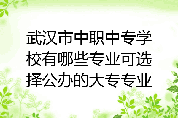 武汉市中职中专学校有哪些专业可选择公办的大专专业