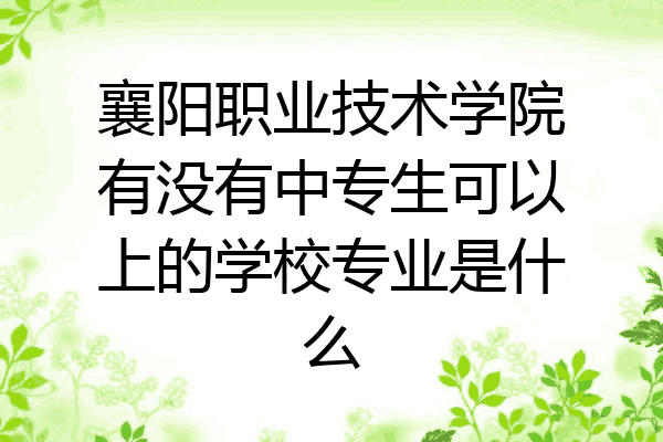 襄阳职业技术学院有没有中专生可以上的学校专业是什么