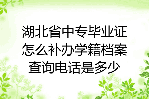 湖北省中专毕业证怎么补办学籍档案查询电话是多少