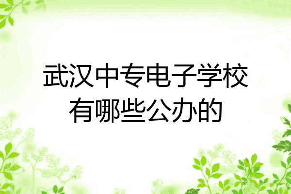 武汉中专电子学校有哪些公办的