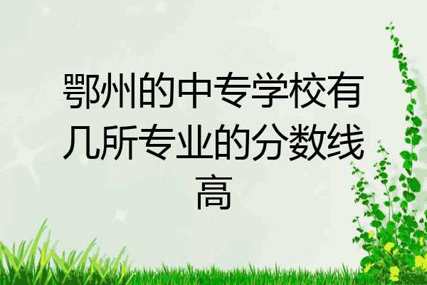 鄂州的中专学校有几所专业的分数线高