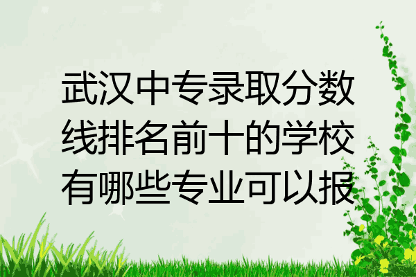 武汉中专录取分数线排名前十的学校有哪些专业可以报