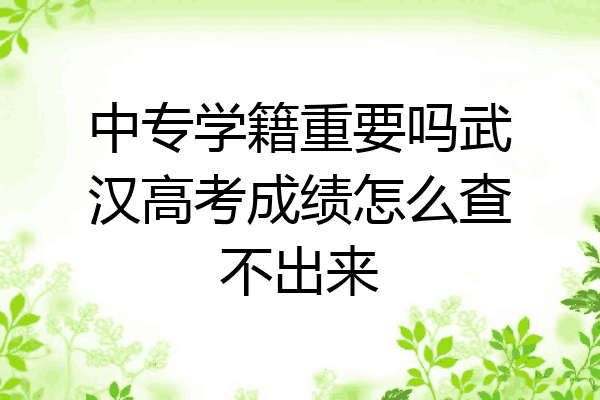 中专学籍重要吗武汉高考成绩怎么查不出来