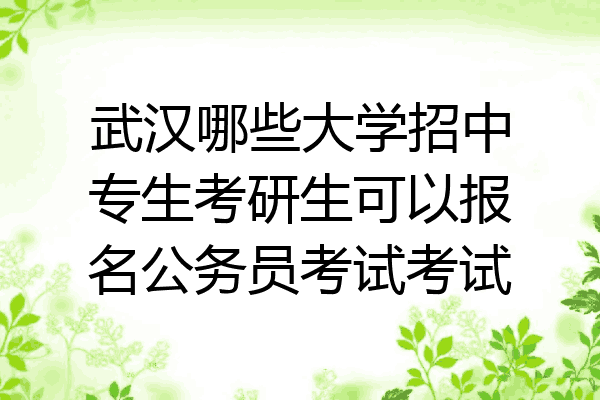 武汉哪些大学招中专生考研生可以报名公务员考试考试