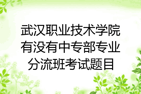 武汉职业技术学院有没有中专部专业分流班考试题目